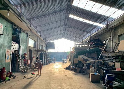 专访路明 上海爷叔的腔调，是从吃苦头中炼成的种子