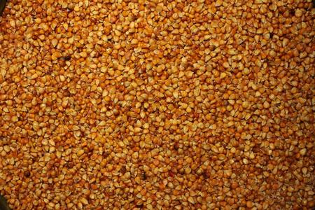 酿香深处的自然馈赠 从白色稻穗到缤纷花卉的酿造之旅