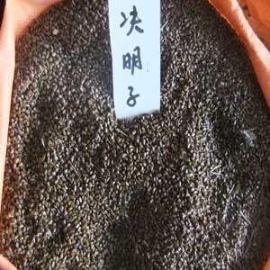 决明子种子的供应与种植方法详解