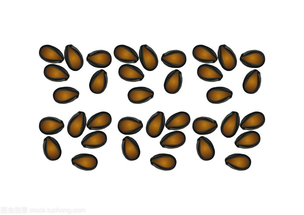 西瓜种子的矢量艺术 从传统到数字的种子描绘