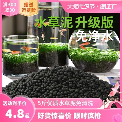 网购新风尚 当“种子”成为流行产品背后的绿色消费图景